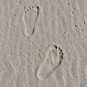 Meet your Posher, Maya